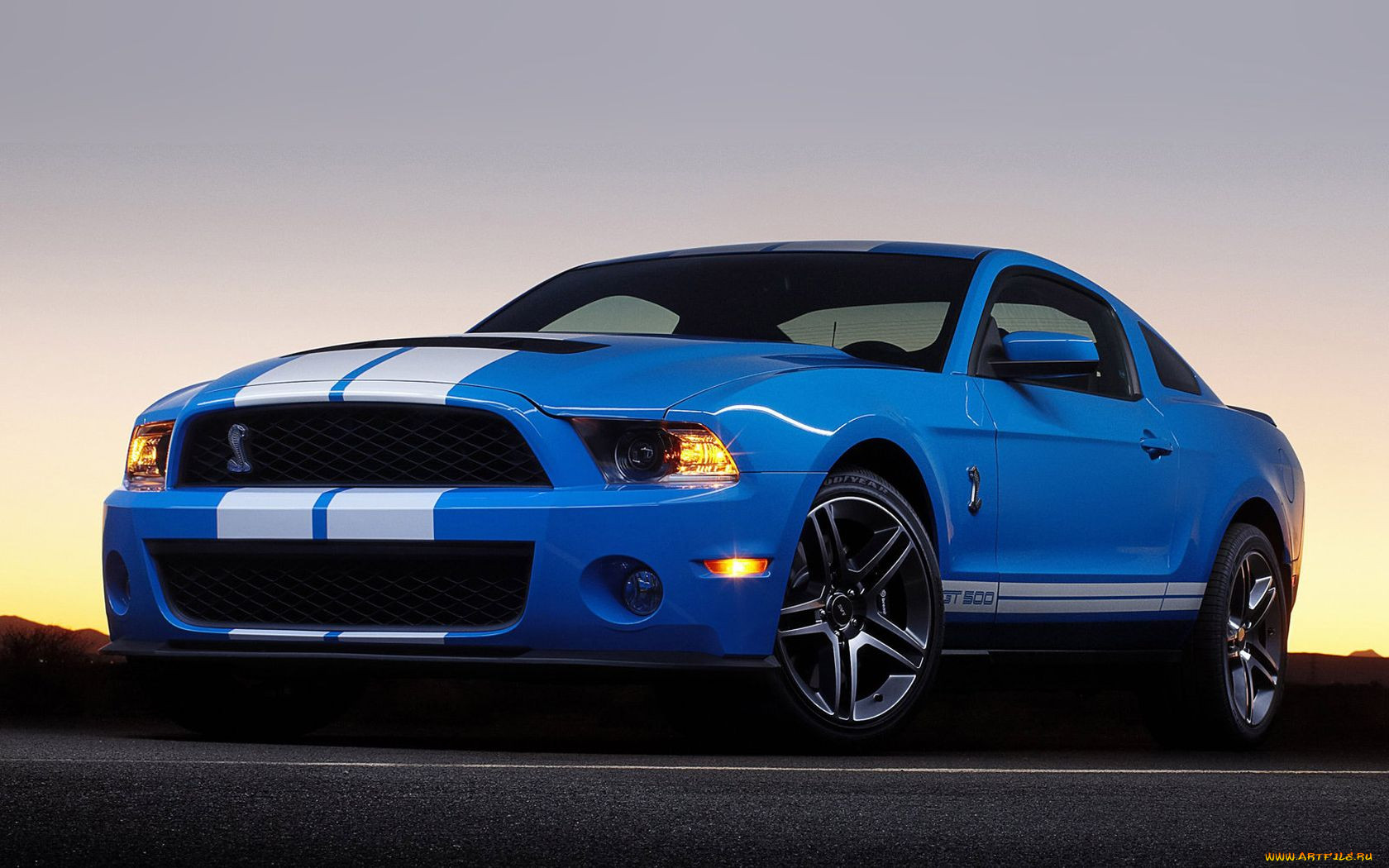 2010, ford, shelby, gt500, , mustang